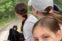Pojmenováváme rostlinná patra a sledujeme změnu přírody.