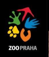 ZOO Praha- čtvrtek - 18.1.