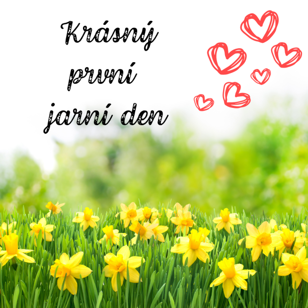 ŽP