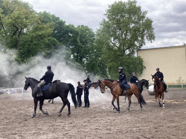 Návštěva jízdní policie